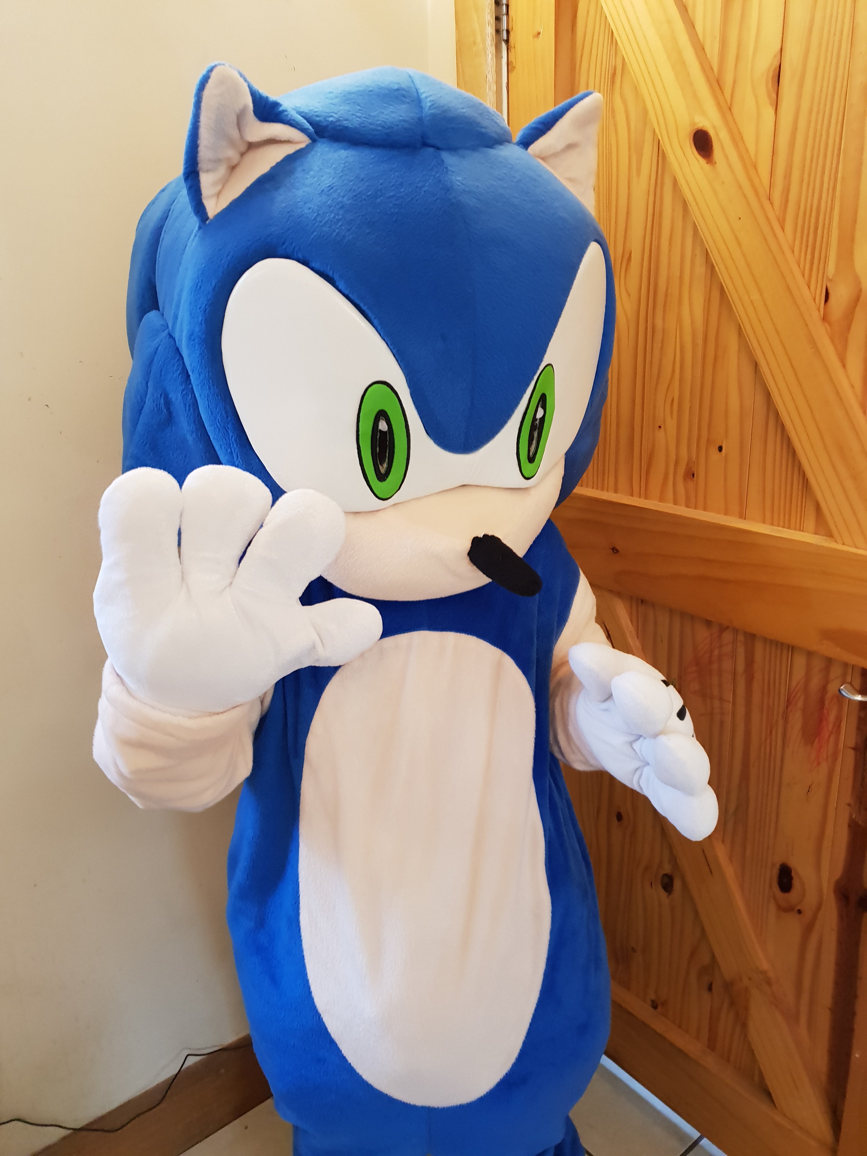 SONIC the Hedgehog and TAILS - Mascot Adult Sized Fancy Dress Hire for  Parties – Rent A Mascot